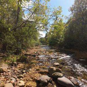 Photo #2 of 001 MT TORREY RD, LYNDHURST, VA 3.1 acres