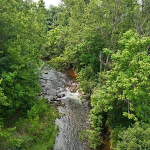 Photo #13 of 001 MT TORREY RD, LYNDHURST, VA 3.1 acres