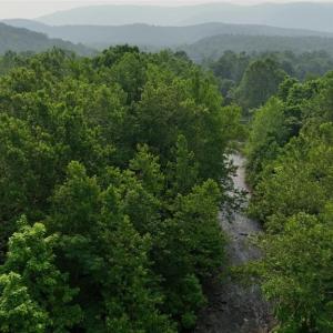 Photo #14 of 001 MT TORREY RD, LYNDHURST, VA 3.1 acres