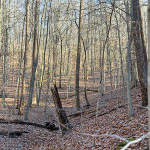 Photo #31 of TBD JOHNSON HOLLOW, SCHUYLER, VA 473.3 acres