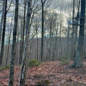 Photo #15 of TBD JOHNSON HOLLOW, SCHUYLER, VA 473.3 acres