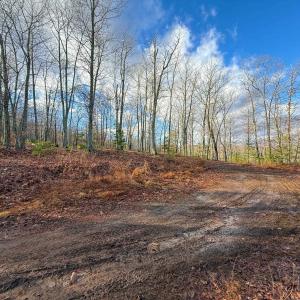 Photo #11 of TBD JOHNSON HOLLOW, SCHUYLER, VA 473.3 acres