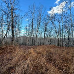Photo #12 of TBD JOHNSON HOLLOW, SCHUYLER, VA 473.3 acres
