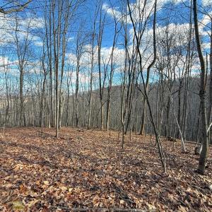 Photo #24 of TBD JOHNSON HOLLOW, SCHUYLER, VA 473.3 acres