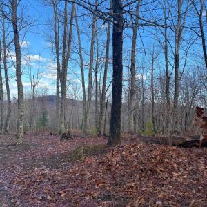 Photo #13 of TBD JOHNSON HOLLOW, SCHUYLER, VA 473.3 acres