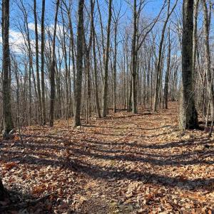 Photo #21 of TBD JOHNSON HOLLOW, SCHUYLER, VA 473.3 acres