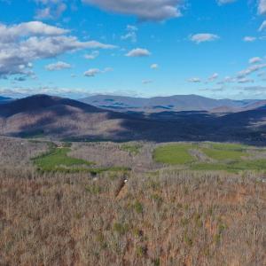 Photo #3 of TBD JOHNSON HOLLOW, SCHUYLER, VA 473.3 acres