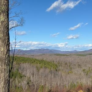 Photo #35 of TBD JOHNSON HOLLOW, SCHUYLER, VA 473.3 acres