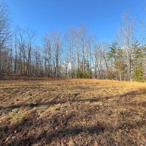 Photo #28 of TBD JOHNSON HOLLOW, SCHUYLER, VA 473.3 acres