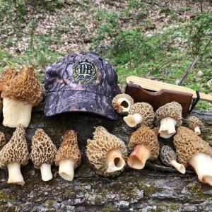 Photo #37 of TBD JOHNSON HOLLOW, SCHUYLER, VA 473.3 acres