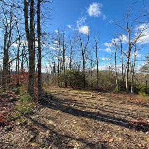 Photo #22 of TBD JOHNSON HOLLOW, SCHUYLER, VA 473.3 acres