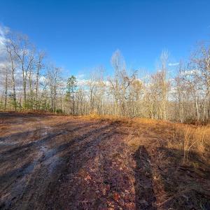 Photo #10 of TBD JOHNSON HOLLOW, SCHUYLER, VA 473.3 acres