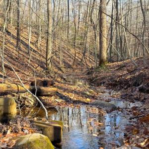 Photo #28 of TBD JOHNSON HOLLOW, SCHUYLER, VA 473.3 acres
