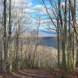 Photo #18 of TBD JOHNSON HOLLOW, SCHUYLER, VA 473.3 acres