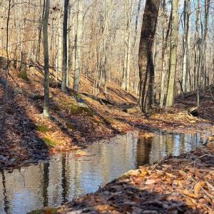 Photo #31 of TBD JOHNSON HOLLOW, SCHUYLER, VA 473.3 acres