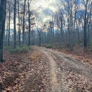Photo #13 of TBD JOHNSON HOLLOW, SCHUYLER, VA 473.3 acres