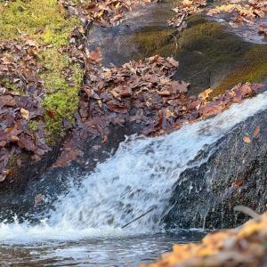 Photo #8 of TBD JOHNSON HOLLOW, SCHUYLER, VA 473.3 acres