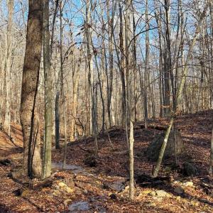 Photo #33 of TBD JOHNSON HOLLOW, SCHUYLER, VA 473.3 acres