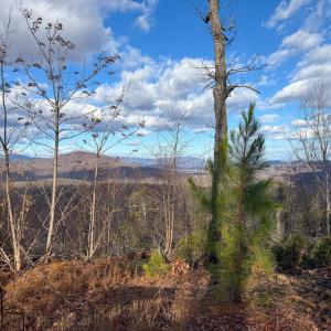 Photo #19 of TBD JOHNSON HOLLOW, SCHUYLER, VA 473.3 acres