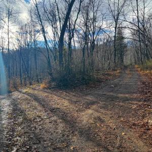 Photo #6 of TBD JOHNSON HOLLOW, SCHUYLER, VA 473.3 acres