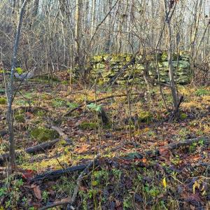 Photo #5 of TBD JOHNSON HOLLOW, SCHUYLER, VA 473.3 acres