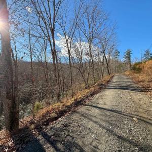 Photo #26 of TBD JOHNSON HOLLOW, SCHUYLER, VA 473.3 acres