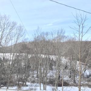 Photo #5 of 1004 JACKSON RIVER TPKE, MONTEREY, VA 21.2 acres