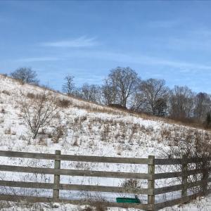 Photo #7 of 1004 JACKSON RIVER TPKE, MONTEREY, VA 21.2 acres