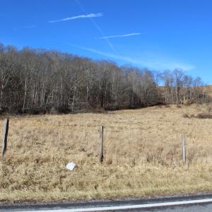 Photo #4 of 1004 JACKSON RIVER TPKE, MONTEREY, VA 21.2 acres