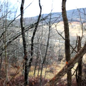 Photo #13 of 1004 JACKSON RIVER TPKE, MONTEREY, VA 21.2 acres