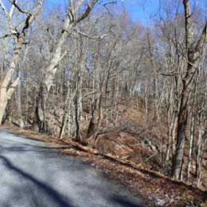 Photo #9 of 1004 JACKSON RIVER TPKE, MONTEREY, VA 21.2 acres