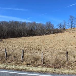Photo #1 of 1004 JACKSON RIVER TPKE, MONTEREY, VA 21.2 acres