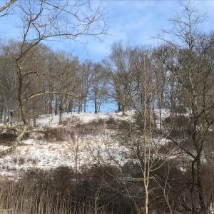 Photo #7 of 1004 JACKSON RIVER TPKE, MONTEREY, VA 21.2 acres