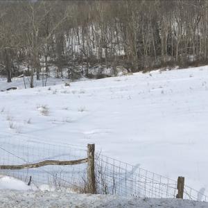 Photo #11 of 1004 JACKSON RIVER TPKE, MONTEREY, VA 21.2 acres