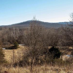 Photo #9 of 2024 BAYLOR AVE, WAYNESBORO, VA 4.3 acres