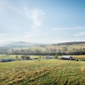 Photo #11 of ORKNEY GRADE, MOUNT JACKSON, VA 8.6 acres