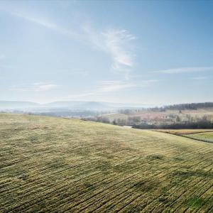 Photo #9 of ORKNEY GRADE, MOUNT JACKSON, VA 8.6 acres