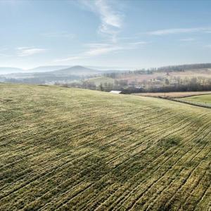 Photo #14 of ORKNEY GRADE, MOUNT JACKSON, VA 8.6 acres