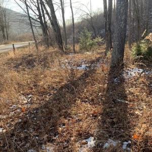 Photo #1 of TBD UPPER BACK CREEK RD, MONTEREY, VA 118.5 acres