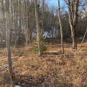 Photo #7 of TBD UPPER BACK CREEK RD, MONTEREY, VA 118.5 acres