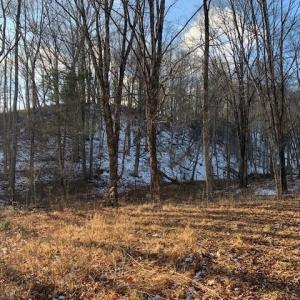 Photo #3 of TBD UPPER BACK CREEK RD, MONTEREY, VA 118.5 acres