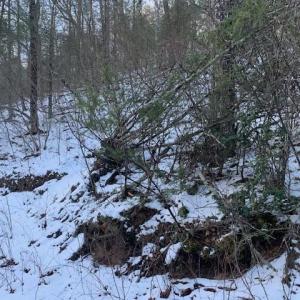 Photo #8 of TBD UPPER BACK CREEK RD, MONTEREY, VA 118.5 acres