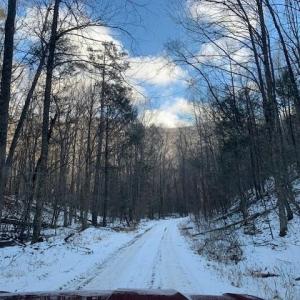 Photo #13 of TBD UPPER BACK CREEK RD, MONTEREY, VA 118.5 acres