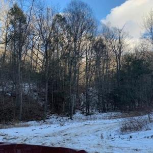 Photo #11 of TBD UPPER BACK CREEK RD, MONTEREY, VA 118.5 acres