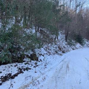 Photo #6 of TBD UPPER BACK CREEK RD, MONTEREY, VA 118.5 acres
