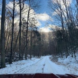 Photo #12 of TBD UPPER BACK CREEK RD, MONTEREY, VA 118.5 acres