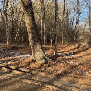 Photo #4 of TBD UPPER BACK CREEK RD, MONTEREY, VA 118.5 acres