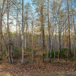 Photo #3 of HOPI WAY, PALMYRA, VA 0.8 acres