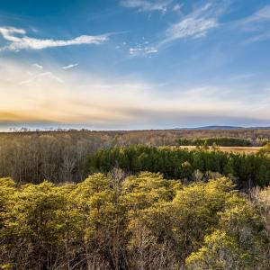 Photo #4 of HOPI WAY, PALMYRA, VA 0.8 acres