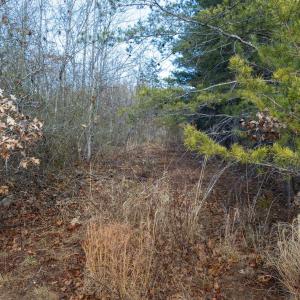 Photo #6 of 3.94 AC PEACE AND QUIET CIR, REVA, VA 3.9 acres